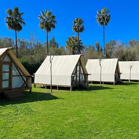 Glamping La Jerezana *